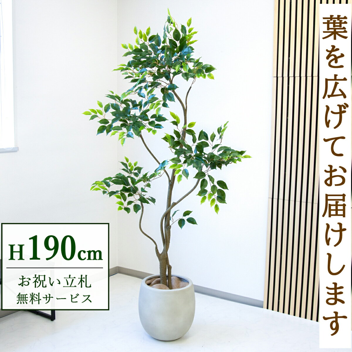 Benjamin - フェイクグリーン 観葉植物 人工観葉植物 フィカス ベンジャミン 大型 190cm 鉢付き / 立札無料 送料無料 法人・開店祝い 店舗・オフィス装飾 空間演出 造花/PG284-BAL35IV