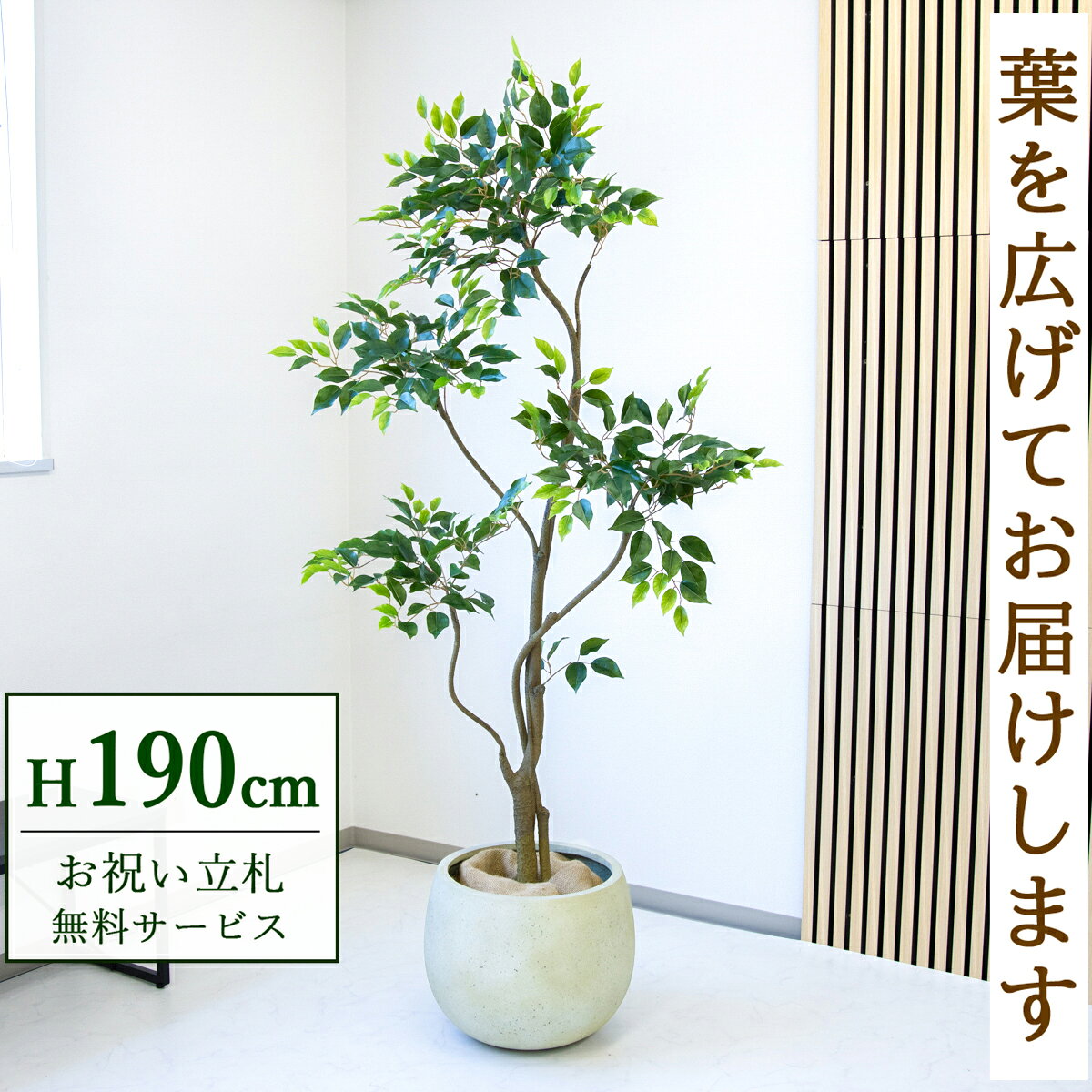 Rakuten - フェイクグリーン 観葉植物 人工観葉植物 フィカス ベンジャミン 大型 190cm 鉢付き / 立札無料 送料無料 法人・開店祝い 店舗・オフィス装飾 空間演出 造花/PG284-D42IV