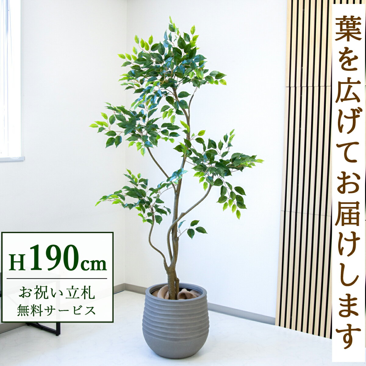 Rakuten - フェイクグリーン 観葉植物 人工観葉植物 フィカス ベンジャミン 大型 190cm 鉢付き / 立札無料 送料無料 法人・開店祝い 店舗・オフィス装飾 空間演出 造花/PG284-J40