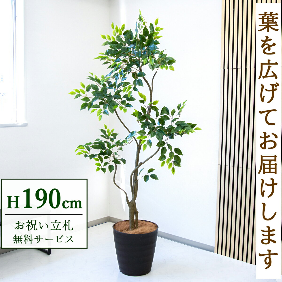 フェイクグリーン 観葉植物 人工観葉植物 フィカス ベンジャミン 大型 190cm 鉢付き / 立札無料 送料無料 法人・開店祝い 店舗・オフィス装飾 空間演出 造花/PG284-M36DB