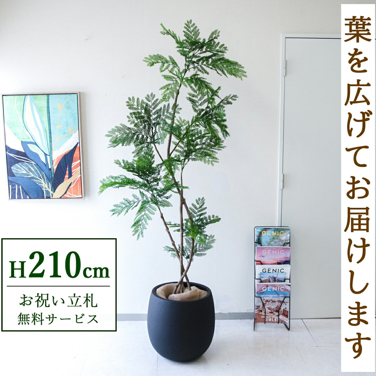 Rakuten - フェイクグリーン 観葉植物 人工観葉植物 エバーフレッシュ 大型 210cm 鉢付き / 立札無料 送料無料 法人・開店祝い 店舗・オフィス装飾 空間演出 造花/PG288-BAL42BK