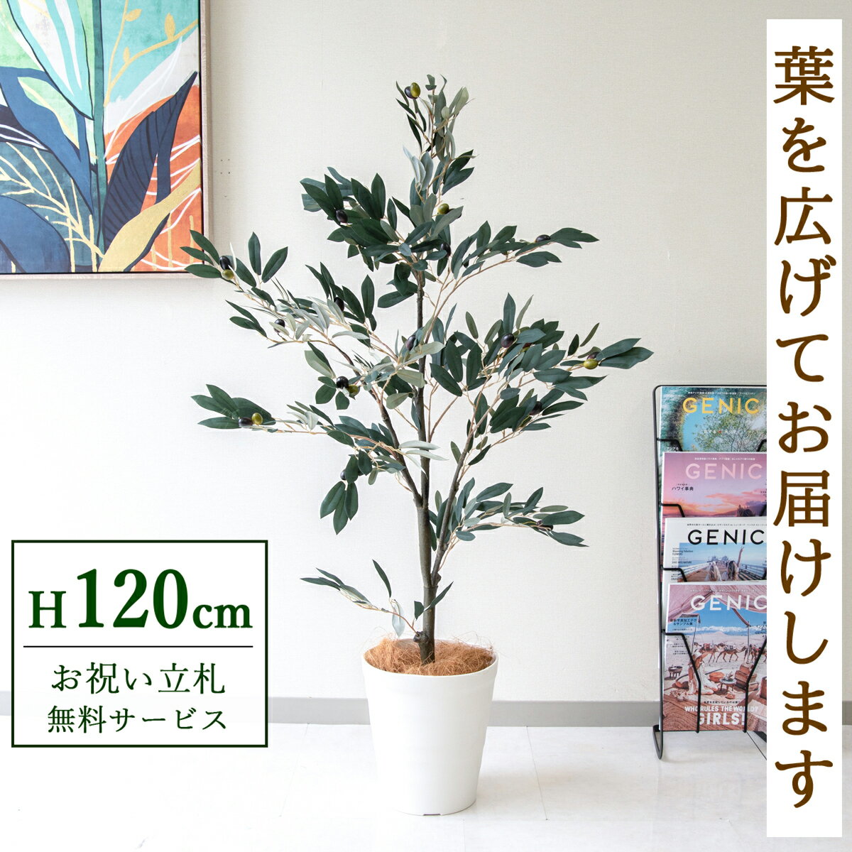 商品情報 (PG289-B240WH)高さ：H約120cm鉢サイズ：Φ約24cm/H約26cm鉢材質：ポリプロピレン鉢 ご利用案内 詳細はこちらからご確認ください 商品について ■「平和」と「知恵」を象徴するオリーブの木 銀色がかった美しい...