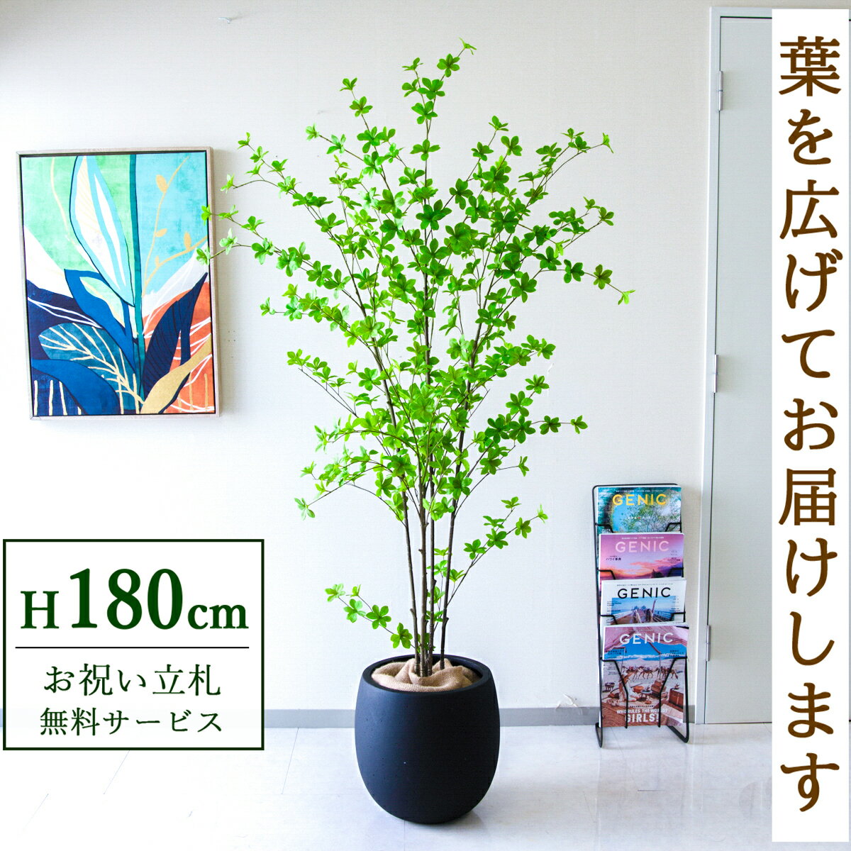 フェイクグリーン 観葉植物 人工観葉植物 ドウダンツツジ 大型 180cm 鉢付き / 立札無料 送料無料 法人・開店祝い 店舗・オフィス装飾 空間演出 造花/PG291-BAL35BK