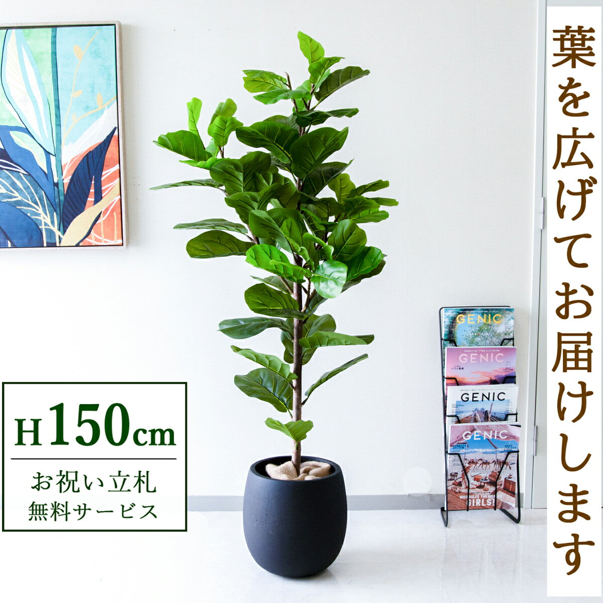 Rakuten - フェイクグリーン 観葉植物 人工観葉植物 フィカス カシワバゴム 150cm 鉢付き / 立札無料 送料無料 法人・開店祝い 店舗・オフィス装飾 空間演出 造花/PG293-BAL30BK