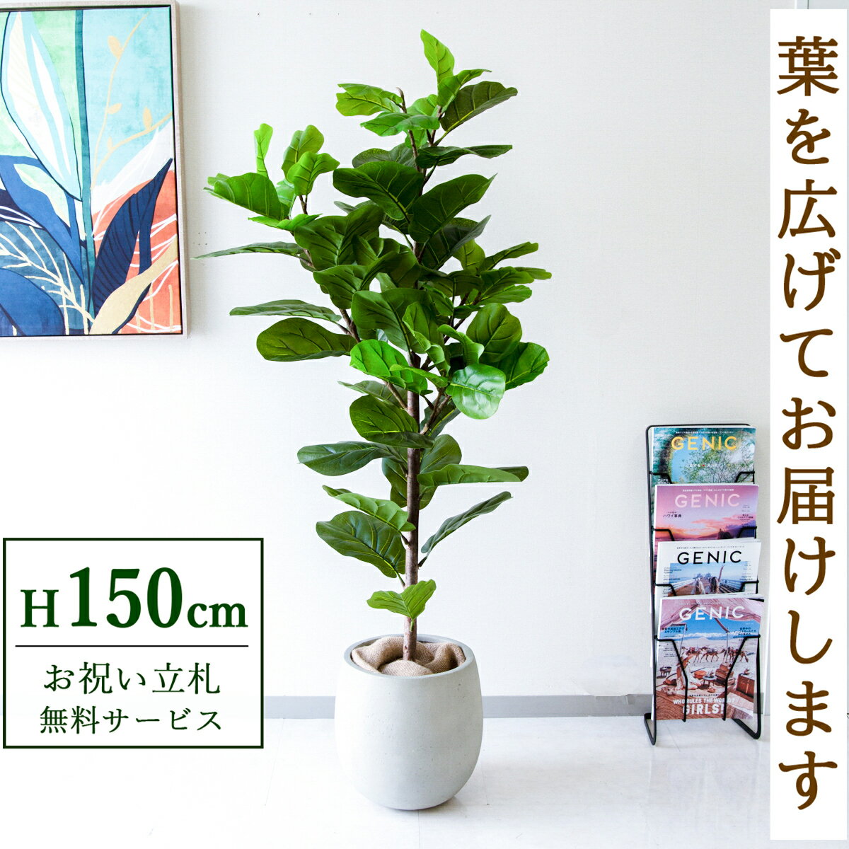 楽天市場】フェイクグリーン カシワバゴムの通販
