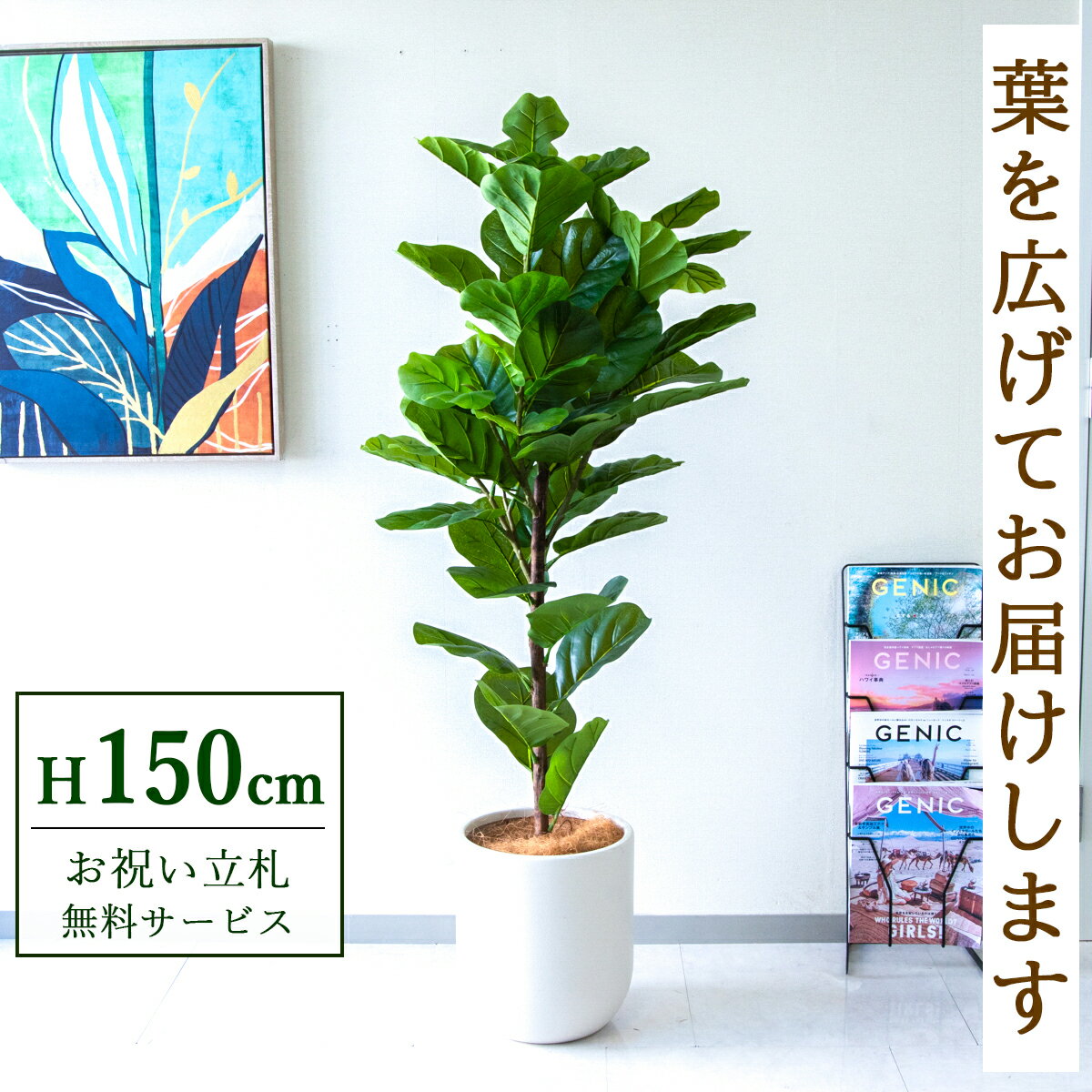 楽天市場】フェイクグリーン カシワバゴムの通販