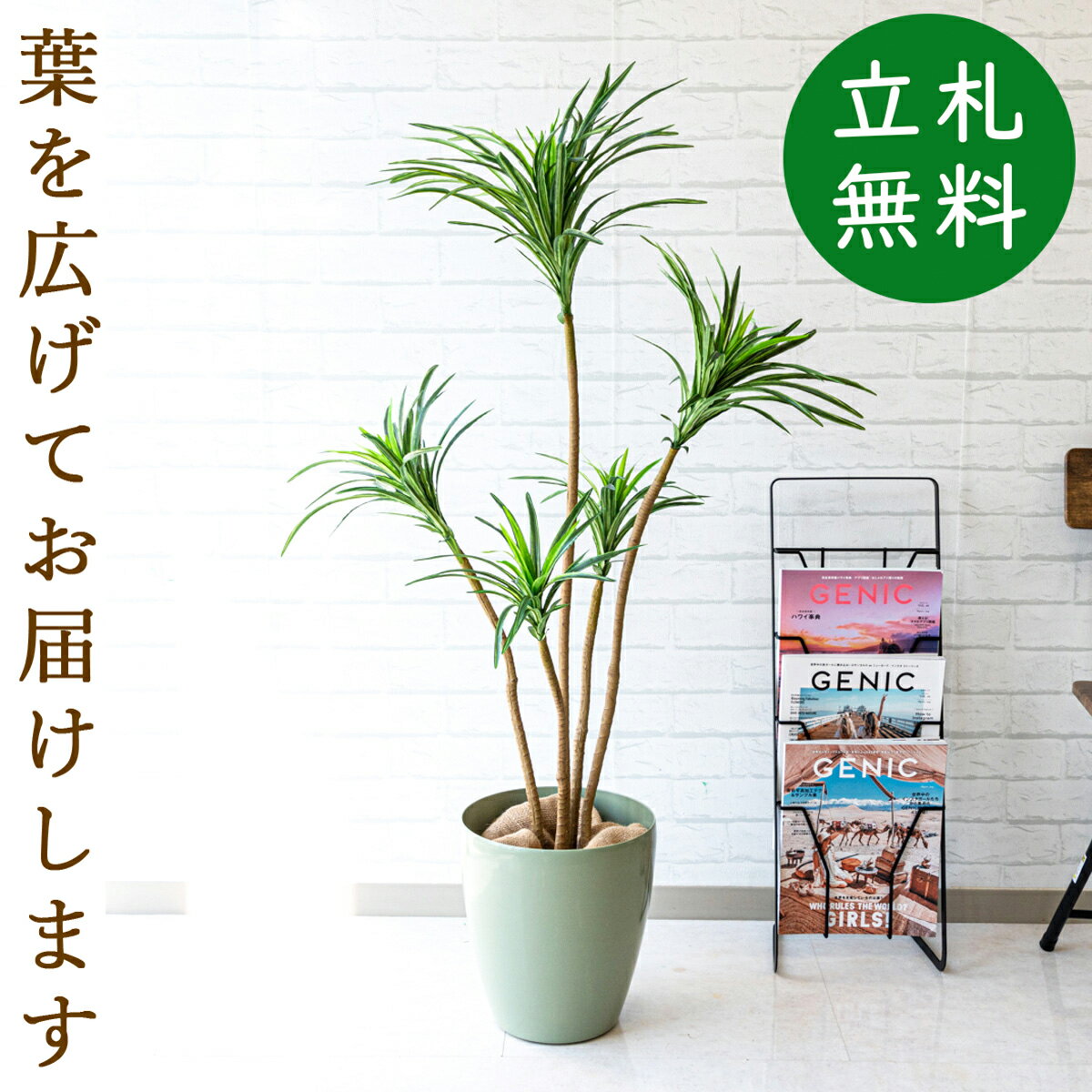 激安単価で 人工観葉植物 フェイクグリーン ユッカ H1cm お祝い立札無料 観葉植物 フェイク おしゃれ アーティフィシャルグリーン 観葉樹木 人工樹木 インテリア フロアサイズ 住宅展示場 オフィス Architecture Excellence Org 激安単価で 人工観葉植物 フェイクグリーン ユッカ H1cm お祝い立札無料 観葉植物 フェイク おしゃれ アーティフィシャルグリーン 観葉樹木 人工樹木 インテリア フロアサイズ 住宅展示場 オフィス Architecture Excellence Org