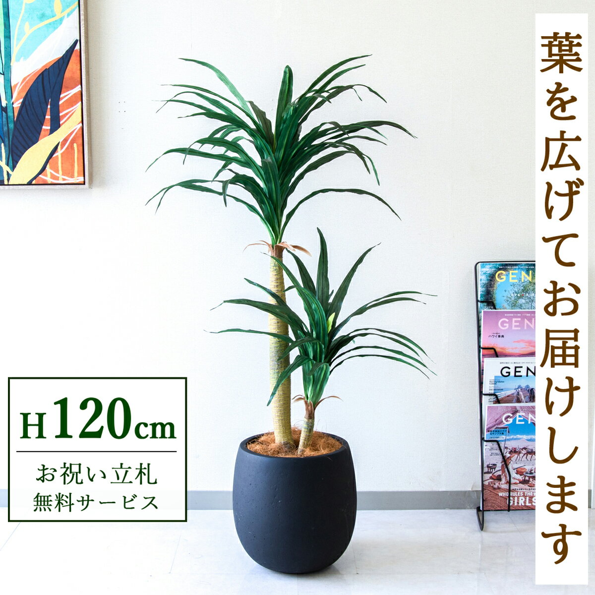 Rakuten - フェイクグリーン 観葉植物 人工観葉植物 ドラセナコンシナ 120cm 鉢付き / 立札無料 送料無料 法人・開店祝い 店舗・オフィス装飾 空間演出 造花/PG014-BAL30BK