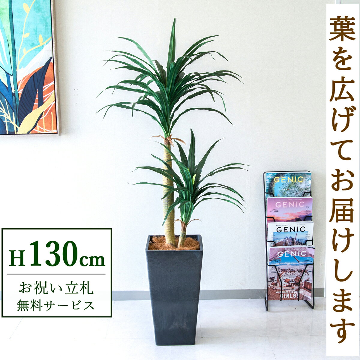 龙血树（幸福树） - フェイクグリーン 観葉植物 人工観葉植物 ドラセナコンシナ 130cm 鉢付き / 立札無料 送料無料 法人・開店祝い 店舗・オフィス装飾 空間演出 造花/PG014-Q25BK