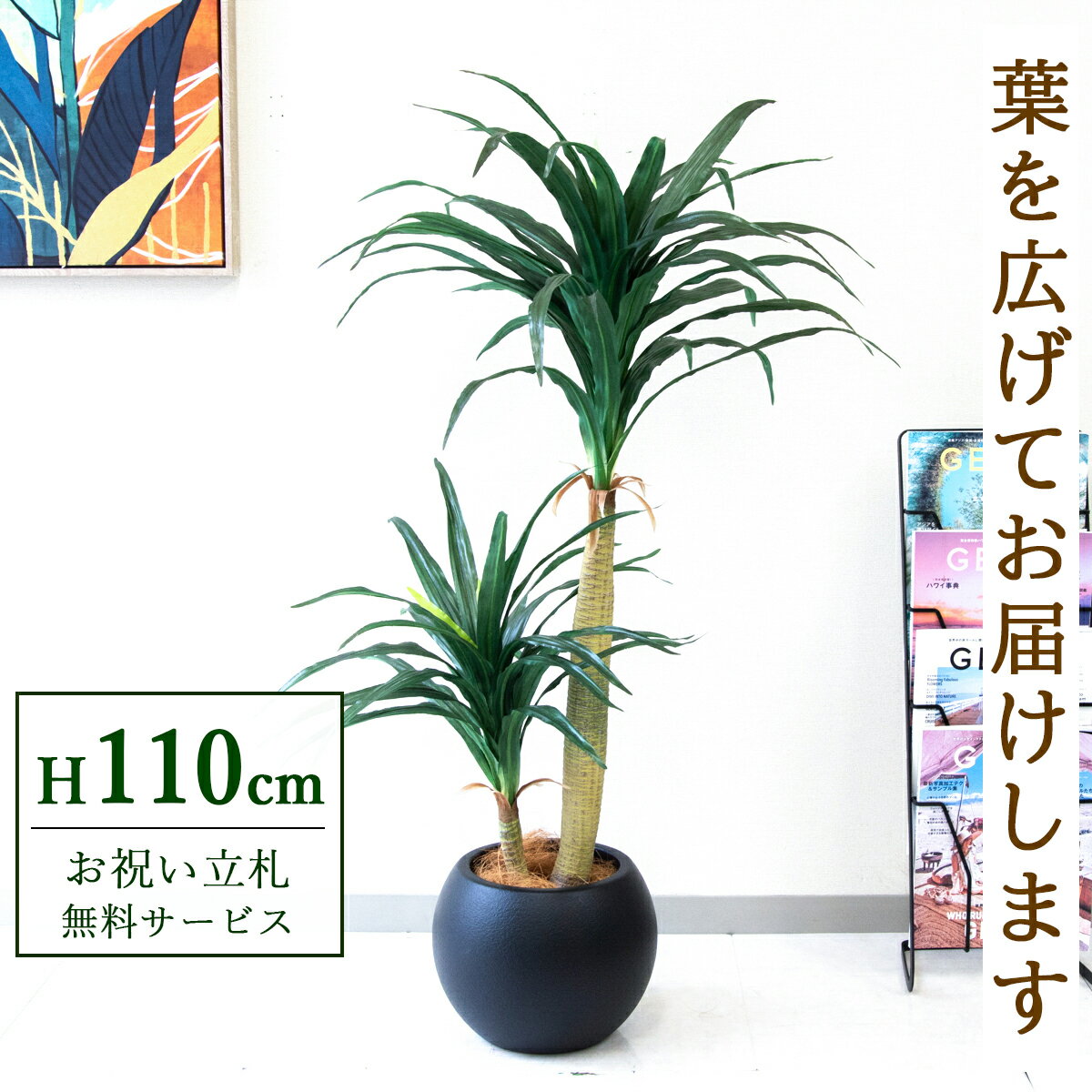 �ե��������꡼�� ���տ�ʪ �͹����տ�ʪ �ɥ饻�ʥ��󥷥� 110cm ȭ�դ� / Ω��̵�� ����̵�� ˡ�͡���Ź�ˤ� Ź�ޡ����ե������� ���ֱ�� ¤��/PG014-ROM27BK