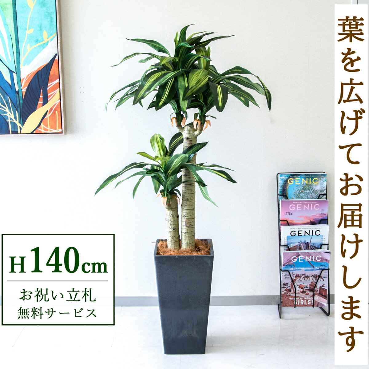 フェイクグリーン 観葉植物 人工観葉植物 幸福の木 ドラセナ マッサンゲアナ 140cm 鉢付き / 立札無料 送料無料 法人・開店祝い 店舗・オフィス装飾 空間演出 造花/PG016-Q25BK