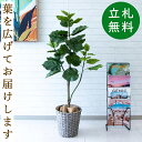 フェイクグリーン ウンベラータ H約120cm 鉢付き / 人工観葉植物 観葉植物 フェイク 造花 店舗 装飾 開店 開業 移転 祝い ギフト プレゼント おし...