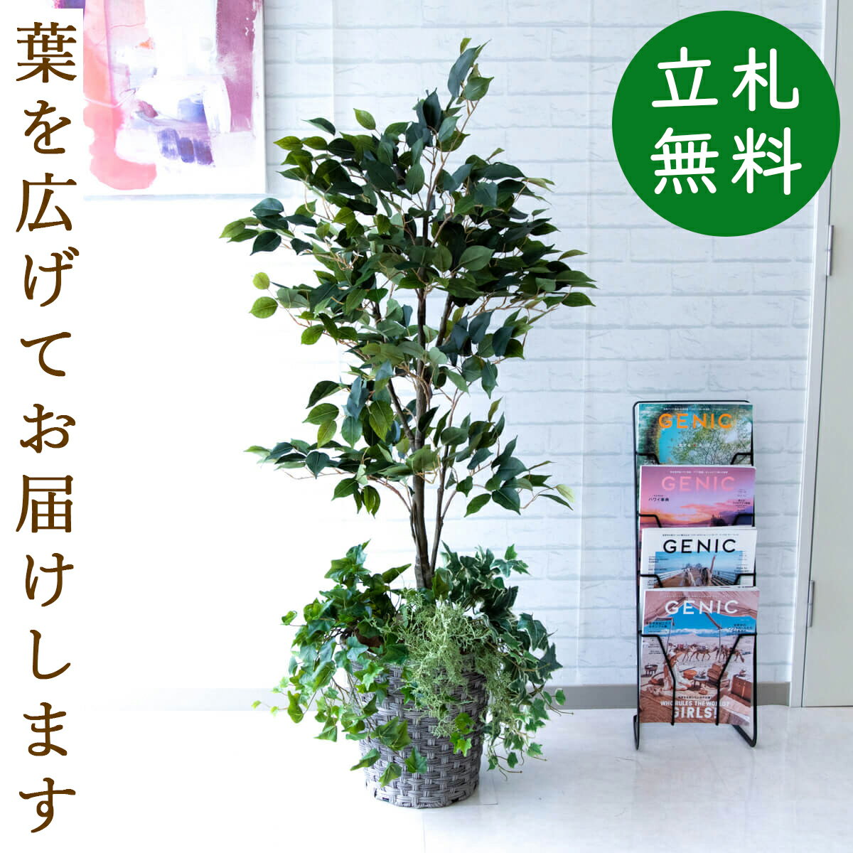 人工 観葉植物 フェイク グリーン フィカス ベンジャミン H約135cm 店舗 装飾 開店 開業 移転 祝い ギ..