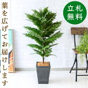 フェイクグリーン ハワイアンシダー H約105cm 鉢付き / 人工観葉植物 観葉植物 フェイク 造花 店舗 装飾 開店 開業 移転 祝い ギフト プレゼント ...