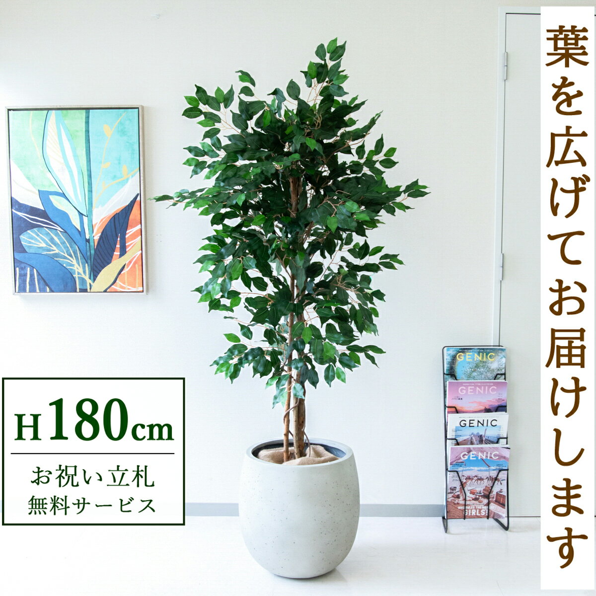 ★立札無料★【すぐ飾れる】 フェイクグリーン 人工観葉植物 フィカス ベンジャミン 180cm 大型 鉢付き / 法人・開店祝い 店舗・オフィス装飾 空間演出 造花/PG091-BAL42IV