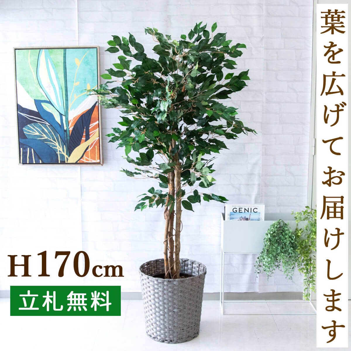 ★立札無料★【すぐ飾れる】 フェイクグリーン 人工観葉植物 フィカス ベンジャミン 185cm 大型 鉢付き / 法人・開店祝い 店舗・オフィス装飾 空間演出 造花/PG091-MEL38GY