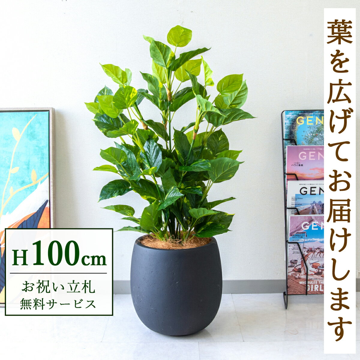 Rakuten - フェイクグリーン 観葉植物 人工観葉植物 フレッシュポトス 100cm 鉢付き / 立札無料 送料無料 法人・開店祝い 店舗・オフィス装飾 空間演出 造花/PG093-BAL30BK