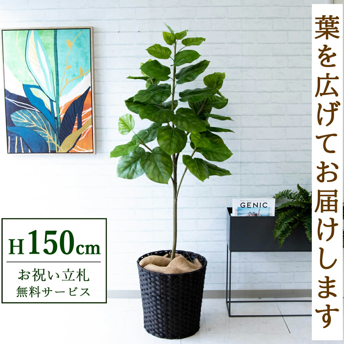 ★立札無料★【すぐ飾れる】 フェイクグリーン 人工観葉植物 フィカス ウンベラータ 150cm 鉢付き / 法人..