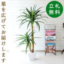 人工観葉植物 フェイクグリーン ドラセナコンシナ H約120cm [お祝い立札無料] 観葉植物 フェイク おしゃれ アーティフィシャルグリーン 人工樹木 インテリア フロアサイズ 住宅展示場 オフィス 開業祝い まとめ買い 【PG014 ドラセナコンシナ H約120cm/陶器鉢】