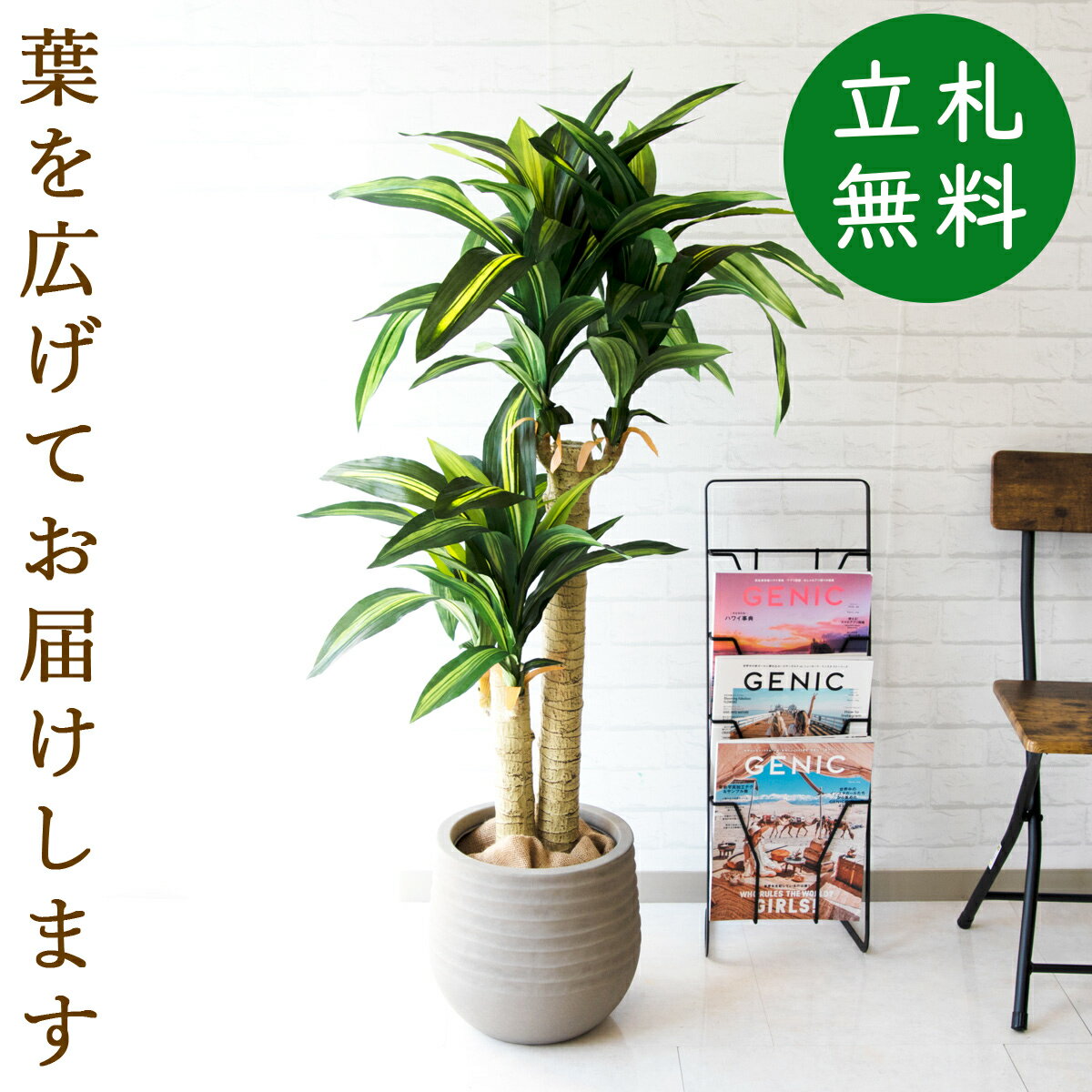 幸福の木 観葉植物 人工 観葉植物 フェイク グリーン マッサン(幸福の木) H約125cm 店舗 装飾 開店 開業 移転 祝い ギフト プレゼント 住宅展示場 モデルハウス オフィス [お祝い立札無料]【PG016-J30 マッサン(幸福の木) H約125cm/FRP鉢】