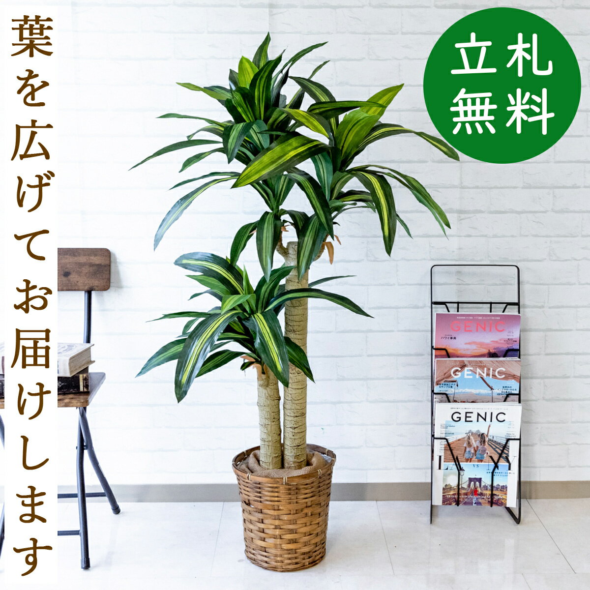 幸福の木 観葉植物 人工 観葉植物 フェイク グリーン マッサン(幸福の木) H約125cm 店舗 装飾 開店 開業 移転 祝い ギフト プレゼント 住宅展示場 モデルハウス オフィス [お祝い立札無料]【PG016-S24 マッサン(幸福の木) H約125cm/バンブー鉢】