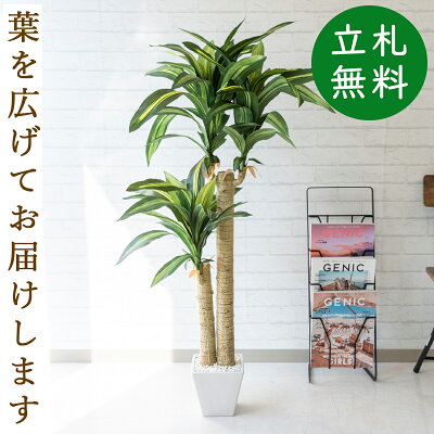 楽天市場 人工観葉植物 フェイクグリーン マッサン 幸福の木 H約125cm お祝い立札無料 観葉植物 フェイク おしゃれ アーティフィシャルグリーン 観葉樹木 人工樹木 インテリア フロアサイズ 住宅展示場 開業祝い Pg016 マッサン 幸福の木 H約125cm 陶器鉢 楽天市場 人工観葉植物 フェイクグリーン マッサン 幸福の木 H約125cm お祝い立札無料 観葉植物 フェイク おしゃれ アーティフィシャルグリーン 観葉樹木 人工樹木 インテリア フロアサイズ 住宅展示場 開業祝い Pg016 マッサン 幸福の木 H約125cm 陶器鉢