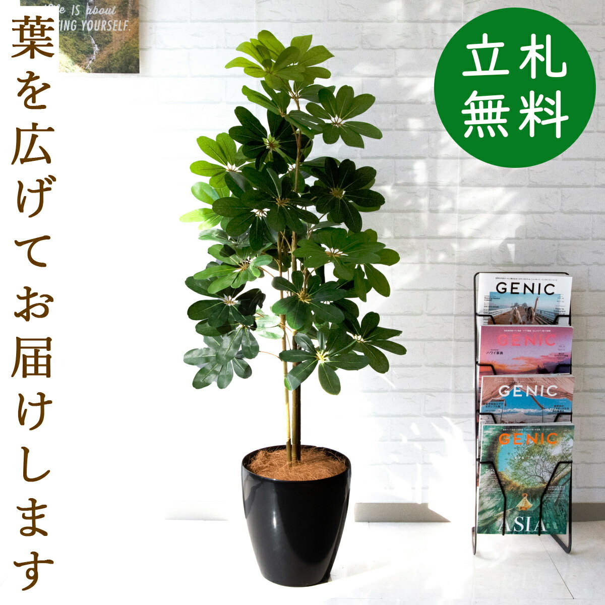 人工 観葉植物 フェイク グリーン シェフレラ H約130cm 店舗 装飾 開店 開業 移転 祝い ギフト プレゼント 住宅展示場 モデルハウス オフィス 