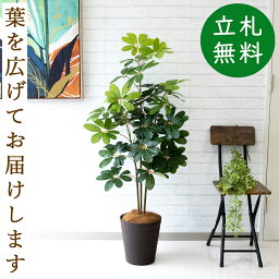 人工観葉植物 フェイクグリーン シェフレラ H約130cm [お祝い立札無料] 観葉植物 フェイク 造花 開店祝い 開業祝い お祝い おしゃれ インテリア 住宅展示場 店舗【PG105-B240BR シェフレラ H約130cm/ポリプロピレン鉢 】