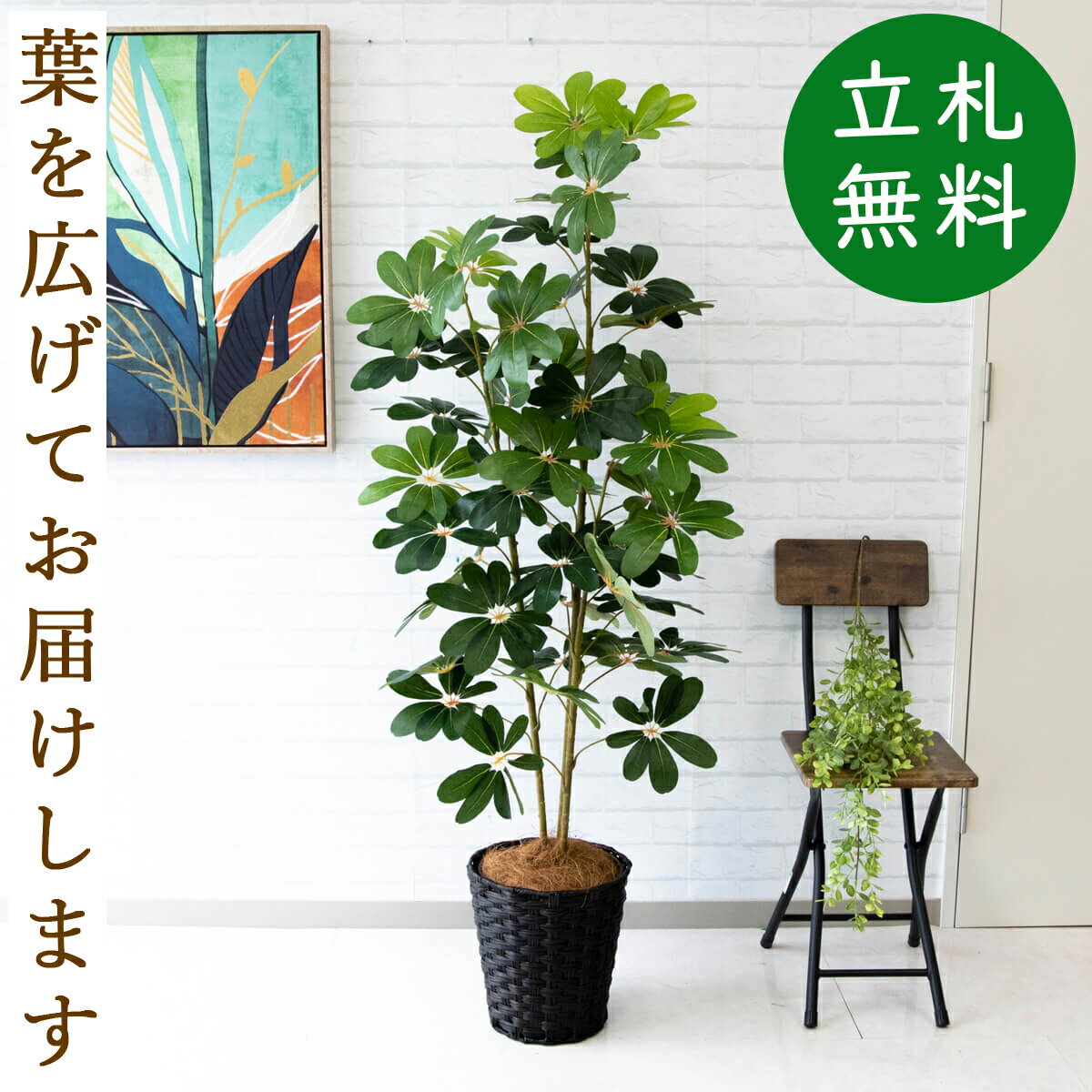 カポック 人工 観葉植物 フェイク グリーン シェフレラ H約155cm 店舗 装飾 開店 開業 移転 祝い ギフト プレゼント 住宅展示場 モデルハウス オフィス [お祝い立札無料]【PG106-MEL26DB シェフレラ H約155cm/バスケット鉢】