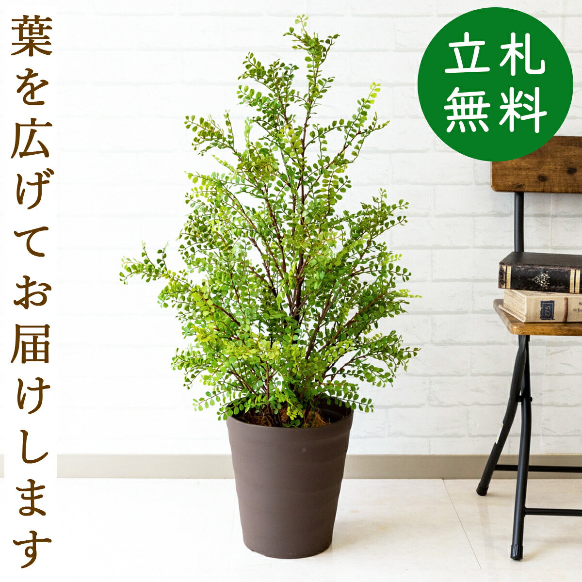 ツイストウンベラータ ボウル H200cm 観葉植物 フェイクグリーン 【別倉庫直送品】 eco | GREENPARK 人工観葉植物 造花 おしゃれ リアル イミテーション インテリアグリーン ギフト プレゼント お祝い