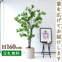 人工 観葉植物 フェイク グリーン ツツジ H約160cm 店舗 装飾 開店 開業 移転 祝い ギフト プレゼント 住宅展示場 モデルハウス オフィス お祝い立札無料 【PG158-H29 ツツジ H約160cm/ポリストーン鉢】