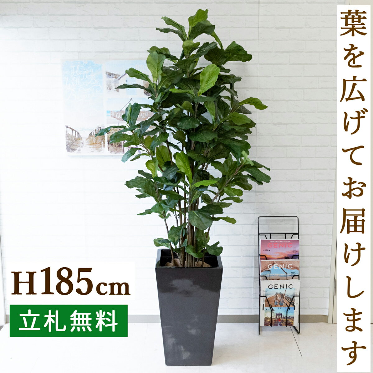 人工観葉植物 住宅展示場 フェイクグリーン ウンベラータ H185cm オフィス お祝い立札無料 フェイク 観葉植物 フェイク おしゃれ アーティフィシャルグリーン 観葉樹木 人工樹木 インテリア フロアサイズ 新築祝い 住宅展示場 オフィス 開業祝い Pg163 ウンベラータ