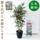 フェイクグリーン 大型 おしゃれ 観葉植物 フェイク リアル 造花 樹 木 玄関 鉢植え 初心者 簡単 モミジ 180cm 【大型宅配便】