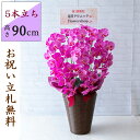 造花 胡蝶蘭/5本立ち/紫(パープル)/H約90cm/紫ラッピング/バスケット28BR 開店祝い 開院祝い 開業祝い 新築祝い 開店花 お祝い花 鉢植え 立札無...