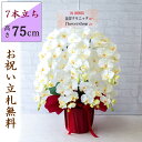 造花 胡蝶蘭/7本立ち/白(ホワイト)/H約75cm/赤ラッピング/ 開店祝い 開院祝い 開業祝い 新築祝い 開店花 お祝い花 鉢植え 立札無料 プレゼント 贈...