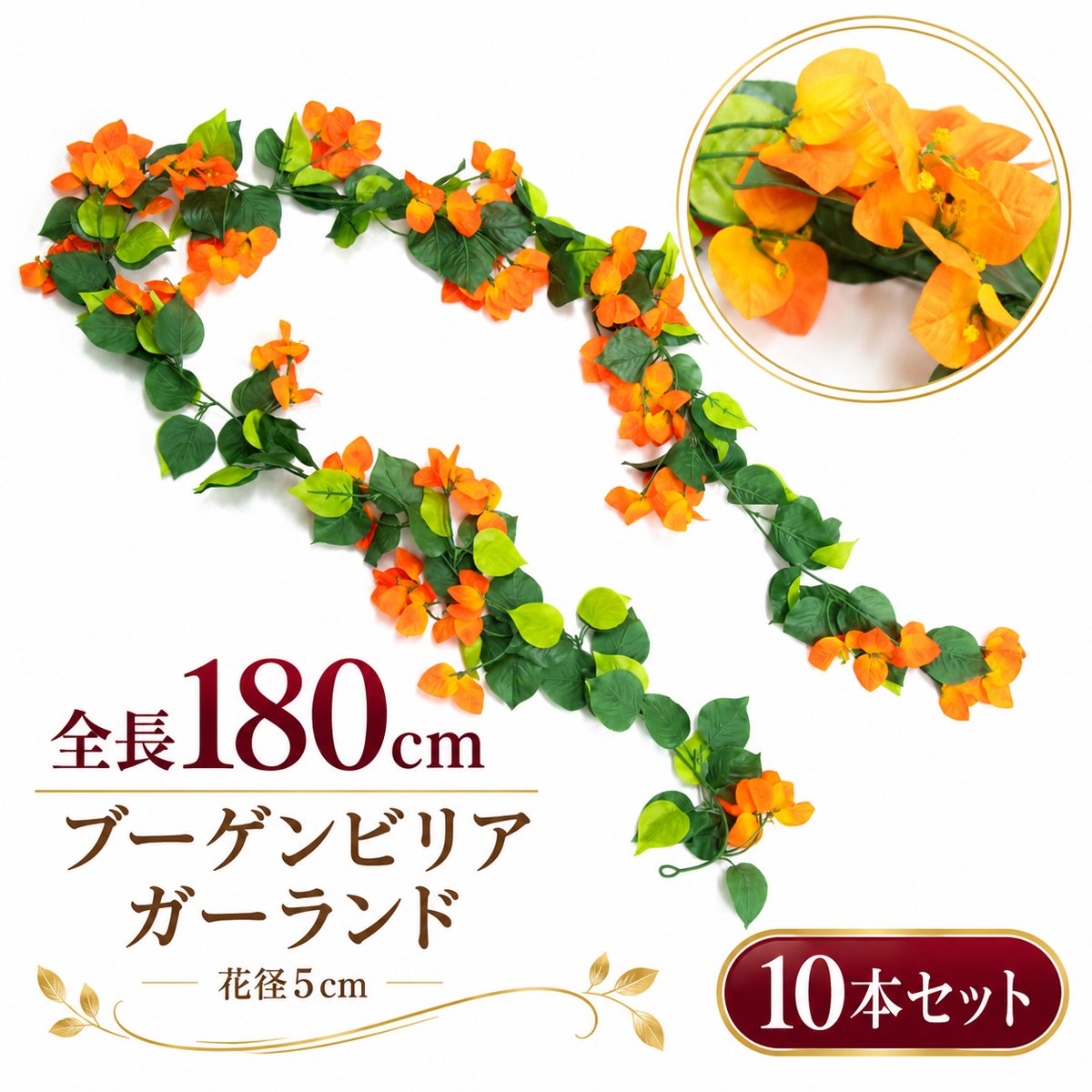 楽天市場】ブーゲンビリア オレンジの通販
