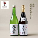 龍勢 硬派タイプ 純米酒セット 720ml×2本 藤井酒造 ...