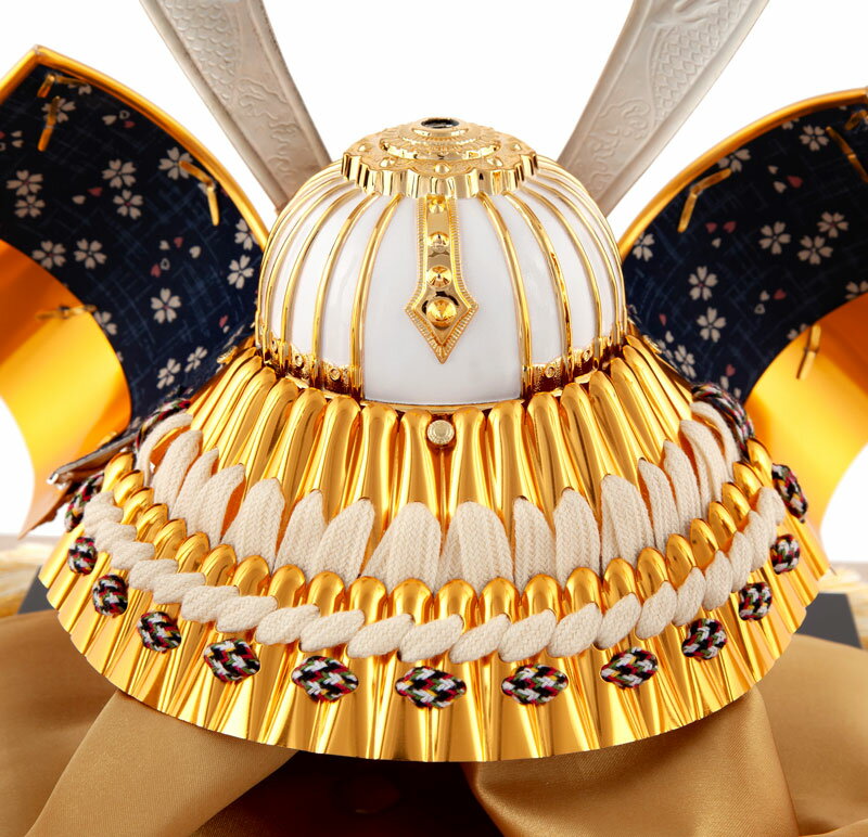 藤翁作 六角東山 アクリルケース