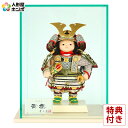 五月人形 幸一光 コンパクト 松崎人形 子供大将飾り ケース飾り 青葉 あおば 黒小札 緑白桃段威 アクリルケース 【2025年度新作】 h075-koi-53...