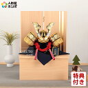 五月人形 コンパクト 兜収納飾り 兜飾り 宝童監修 金竜大鍬兜 正絹糸縅 5号 【2025年度新作】 h075-mm-sn2543-5