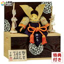 五月人形 コンパクト 豊久 兜収納飾り 兜飾り 鈴甲子雄山作 李白 純金箔押 正絹糸縅 10号 【2025年度新作】 h075-mo-502859 GG-032