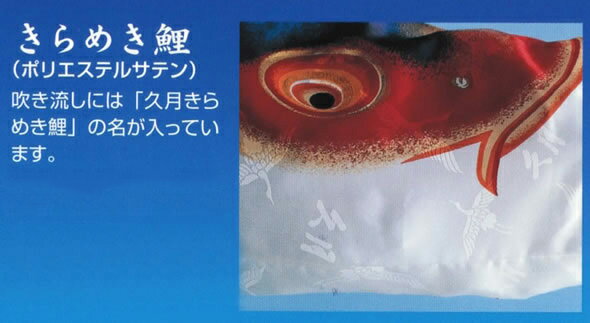 きらめき鯉 ポリエステルサテン