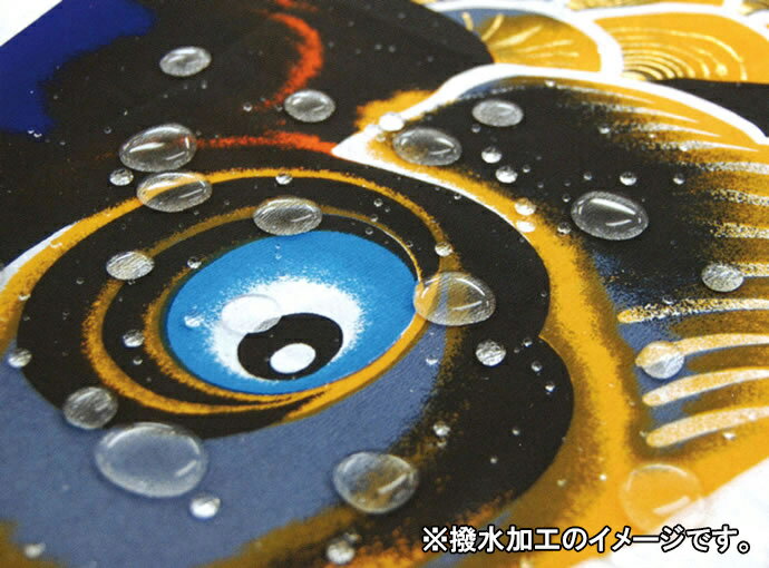 鯉のぼり こいのぼり 鳳翔 撥水加工 家紋・名入れ不可