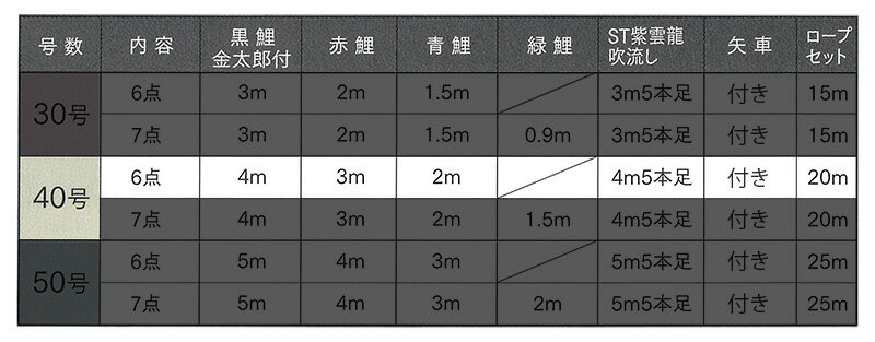 ニューGDX 金太郎付 紫雲龍吹流し ナイロン 家紋・名前入れ可能