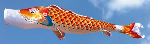 こいのぼり 徳永鯉 鯉のぼり ベランダ用 1.2m スタンドセット 水袋