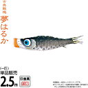 【創業100周年セール開催中】＋特別クーポン こいのぼり 徳永鯉 鯉のぼり 単品 2.5m 夢はるか 撥水加工 ポリエステルメロンアムンゼン生地 【2023年度新作】 001-643
