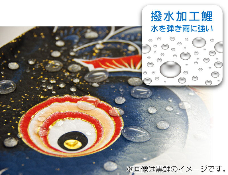 【エントリーでP10倍】こいのぼり 徳永鯉 鯉のぼり 庭園用 1.2m7点 にわデコセット 風舞い 薫風の舞い鯉 撥水加工 ポリエステルジャガード織 家紋・名入れ可能 【2023年度新作】 410-174|人形屋ホンポ(NINGYOYA HOMPO) 【エントリーでP10倍】こいのぼり 徳永鯉 鯉のぼり 庭園用 1.2m7点 にわデコセット 風舞い 薫風の舞い鯉 撥水加工 ポリエステルジャガード織 家紋・名入れ可能 【2023年度新作】 410-174|人形屋ホンポ(NINGYOYA HOMPO)