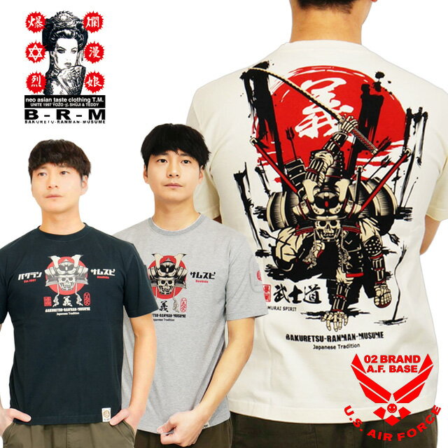 rmt-351-m1.jpg