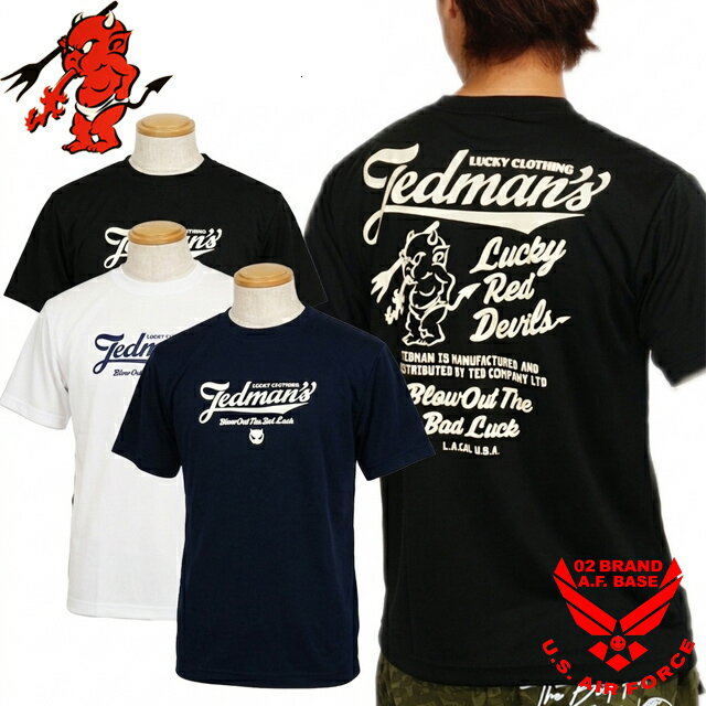 テッドマン LUCKY RED DEVILS ロゴプリント ドライ半袖Tシャツ メンズ 新作2026年モデル TEDMANS tdryt-2400