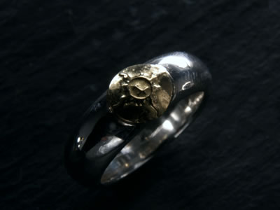 ポイント2倍!!ファーストアローズ...